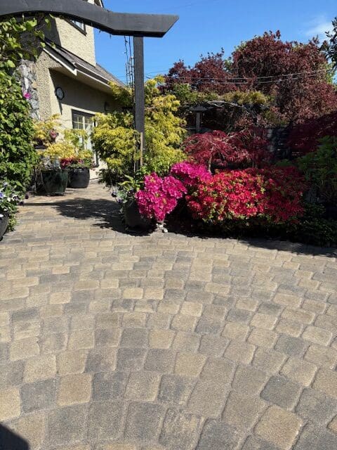 Professional paver stone sealing services in Victoria, BC, rejuvenation old pavers